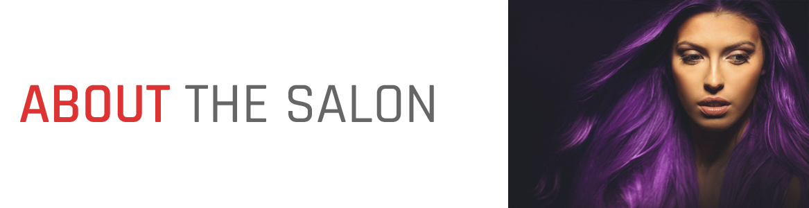About the Salon